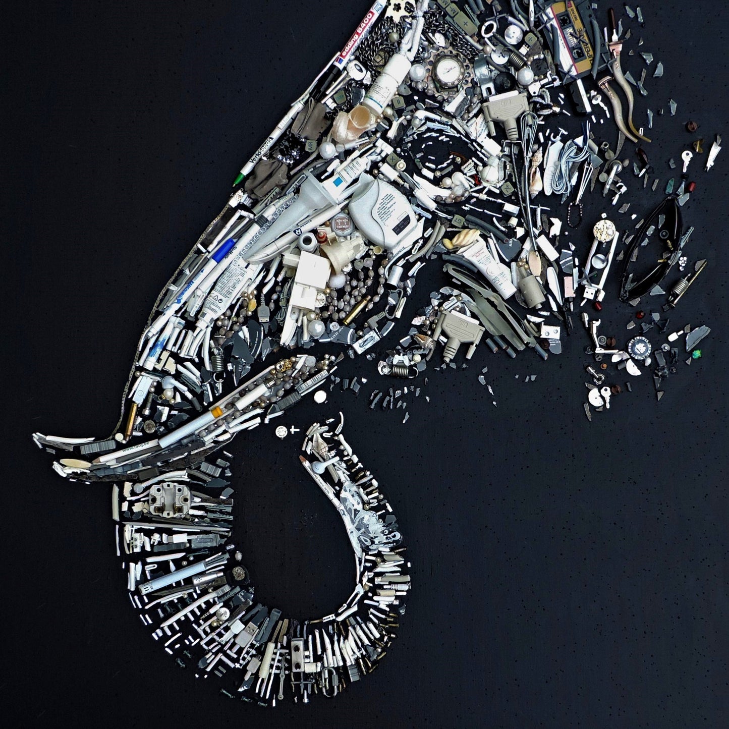 Hathi - Recycled - Limited Edition Dibond Print