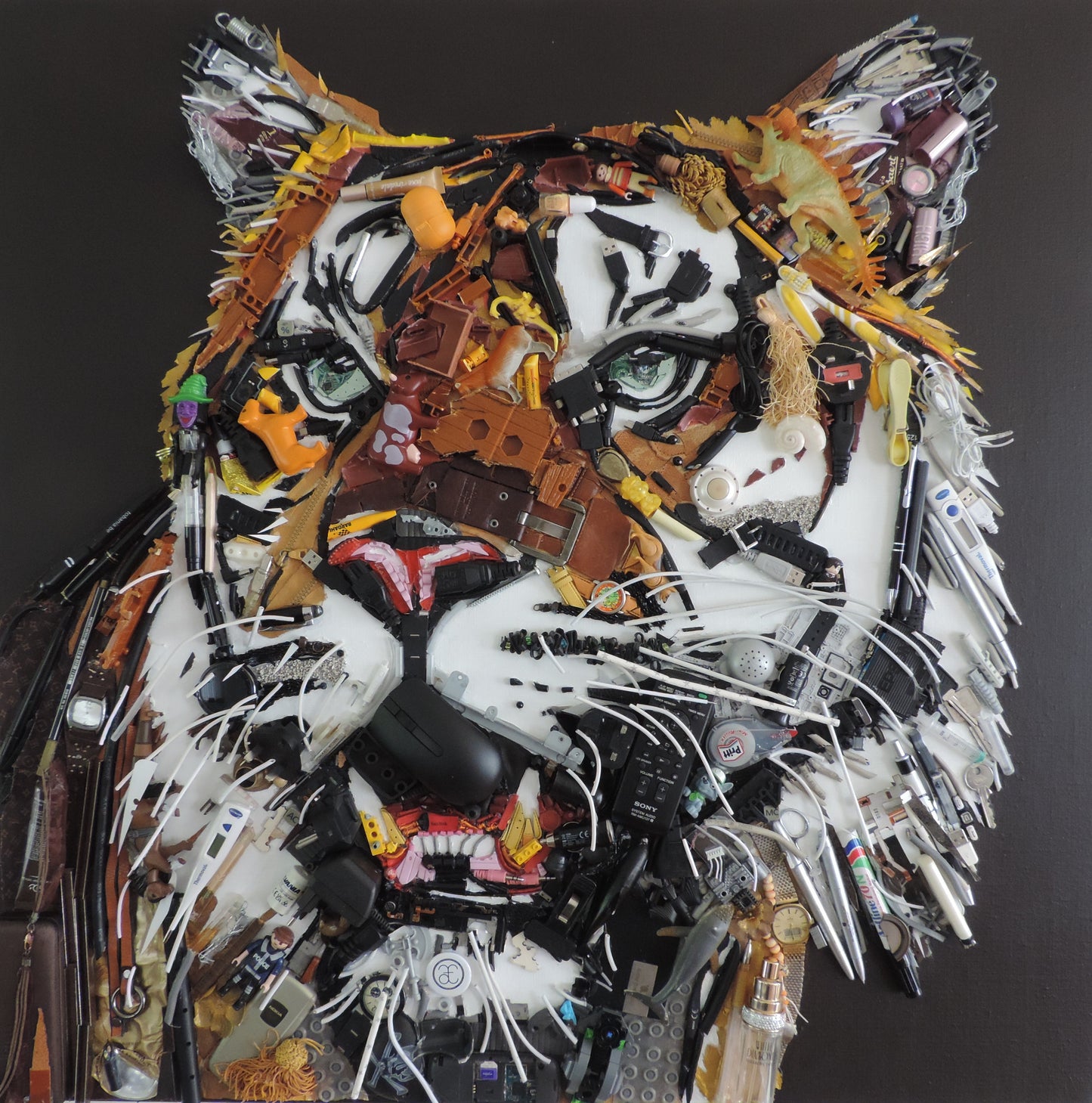 Sheera Khan - Recycled - Limited Edition Dibond Print